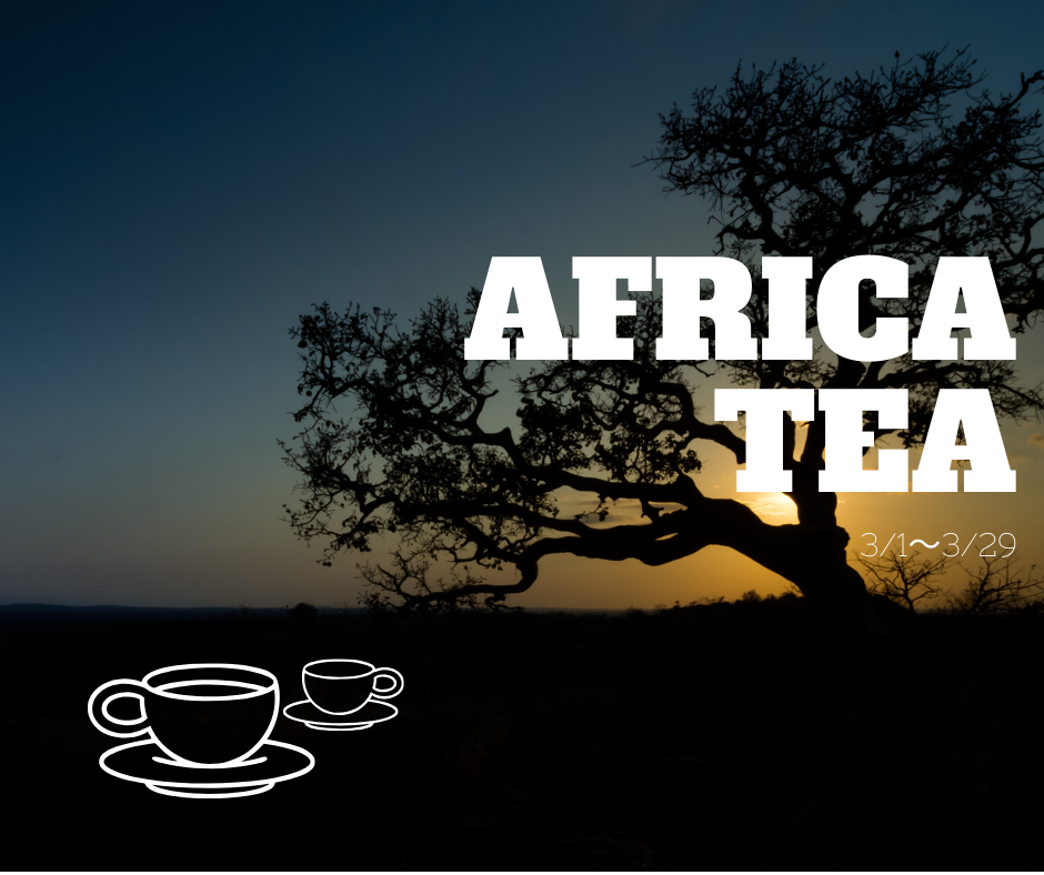 アフリカ紅茶で免疫アップ☺残り一週間！